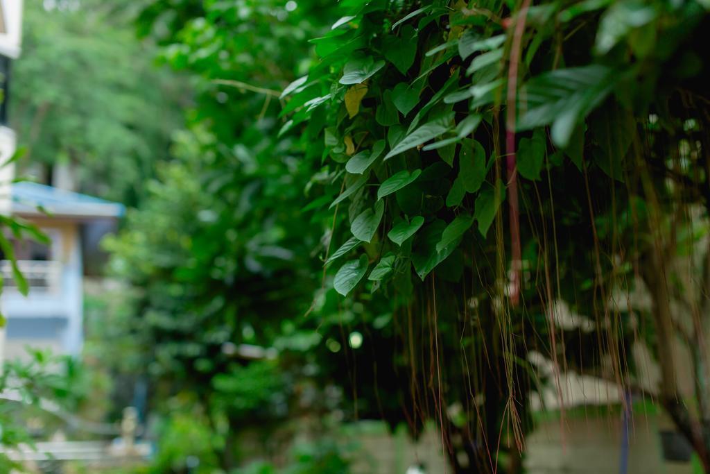 Rk Guesthouse Patong Экстерьер фото