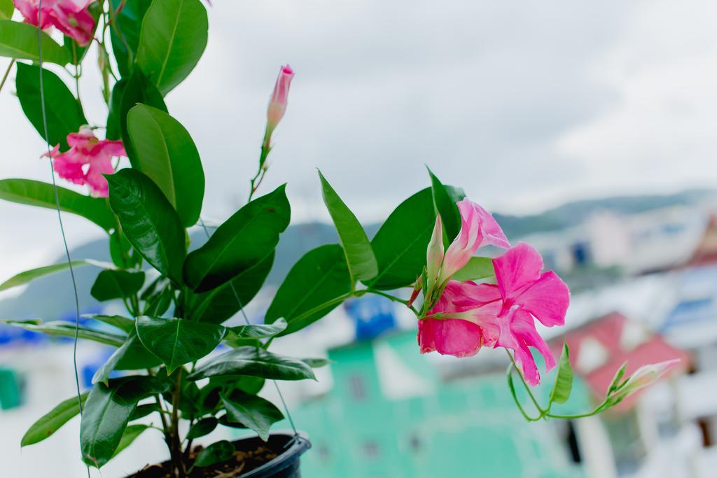 Rk Guesthouse Patong Экстерьер фото